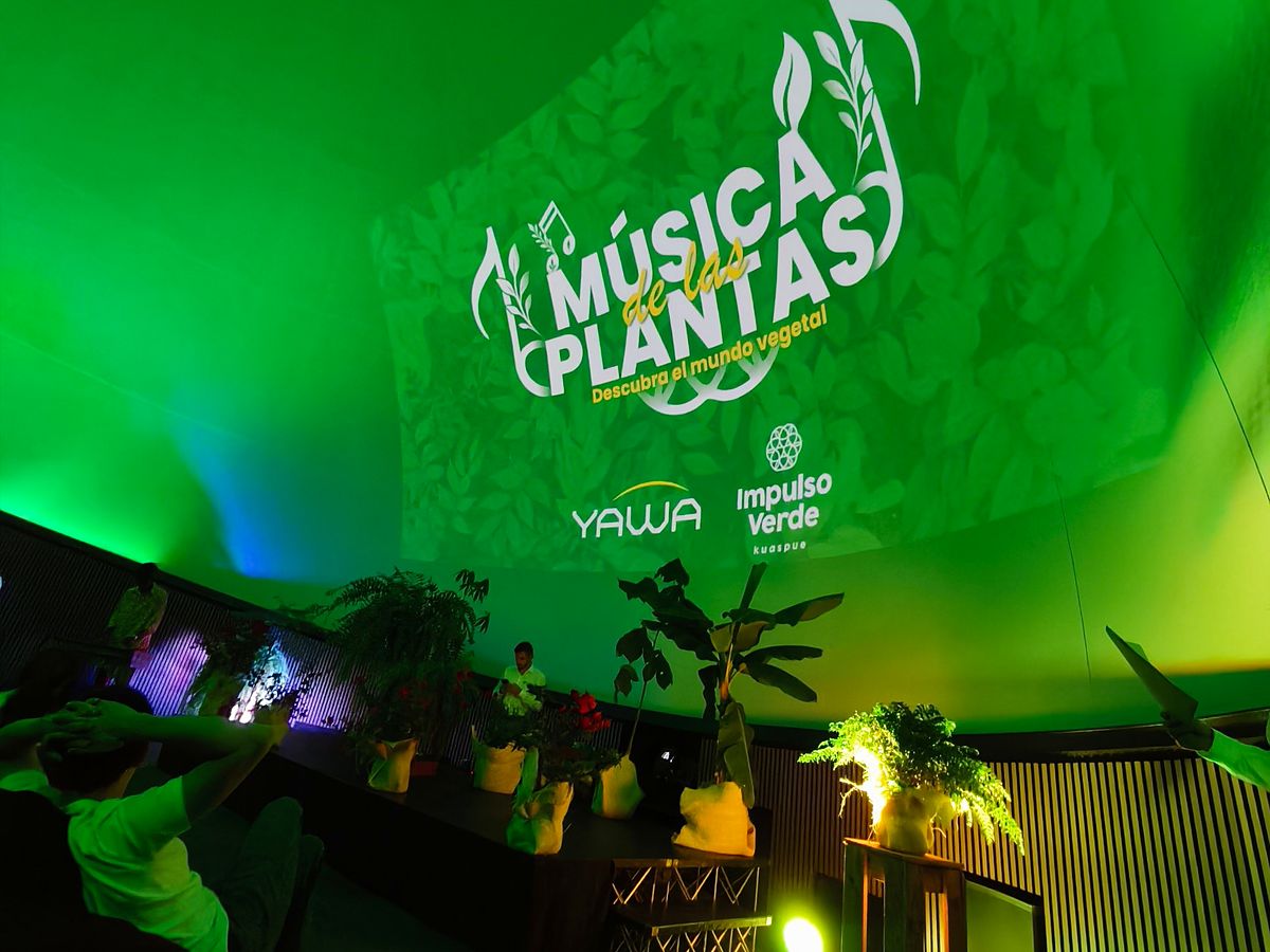 Domo iluminado en verde con el logo de La Música de las Plantas proyectado
